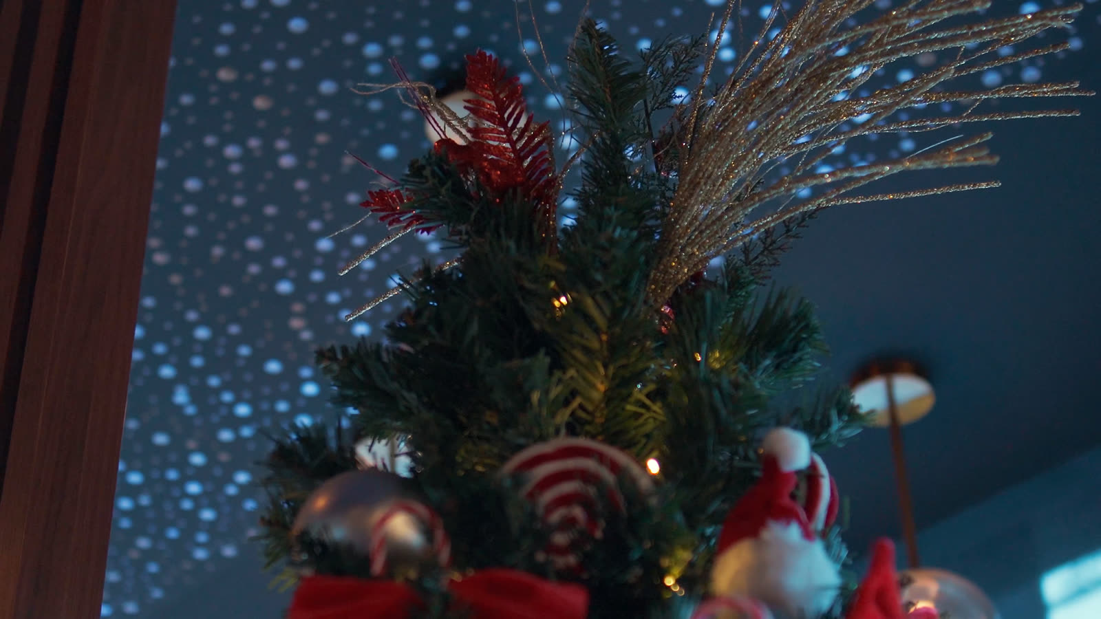 Árvore de Natal do St. Gallen Lummi sob o teto estrelado